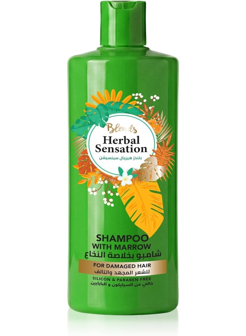 Blends Herbal Sensation Shampoo with Plant Marrow for Damaged Hair - Repairs Weak & Thinning Hair - Silicon & Paraben Free - 850 ml - Image 1